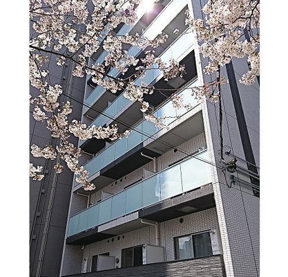 東京都豊島区北大塚３丁目 賃貸マンション 1K